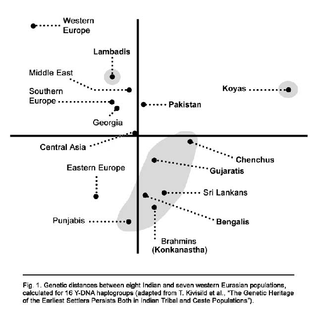 map-genetic.jpg