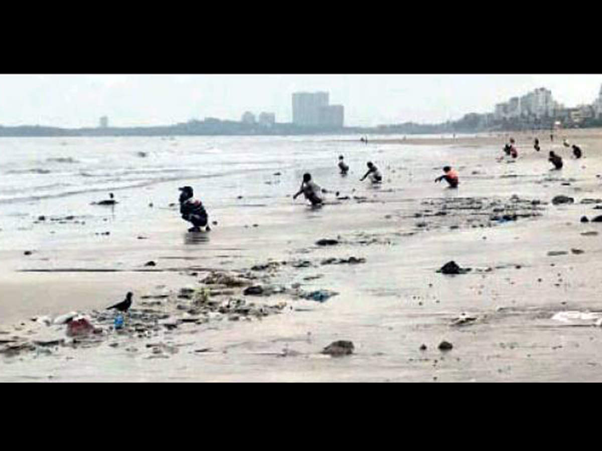 Veteran actor Shabana Azmi: Shabana takes to Twitter to post pic of  defecation on Juhu beach | Mumbai News - Times of India