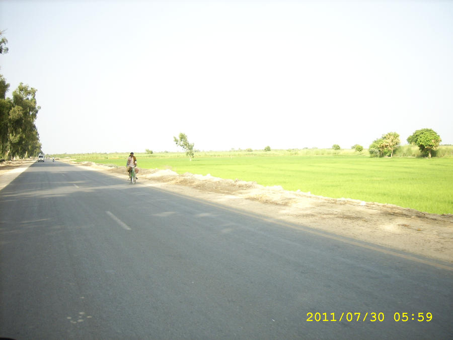 view_of_naudero_to_larkana_roa_by_iftikhar786-d424kvl.jpg