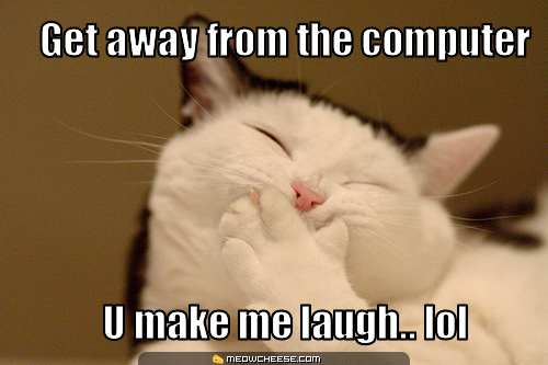 lol-funny-cat-cats-18081863-500-333.jpg