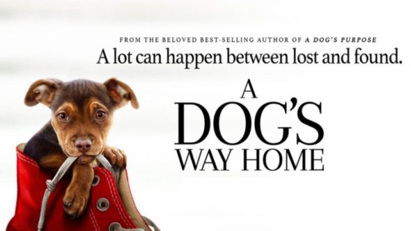 A-Dogs-Way-Home-e1562093148671.jpg