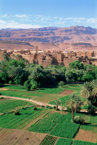 oasis-tinerhir-morocco_S.jpg