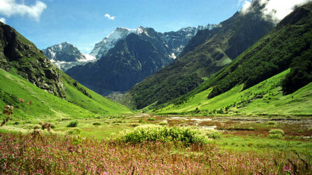 Chopta-Valley.jpg