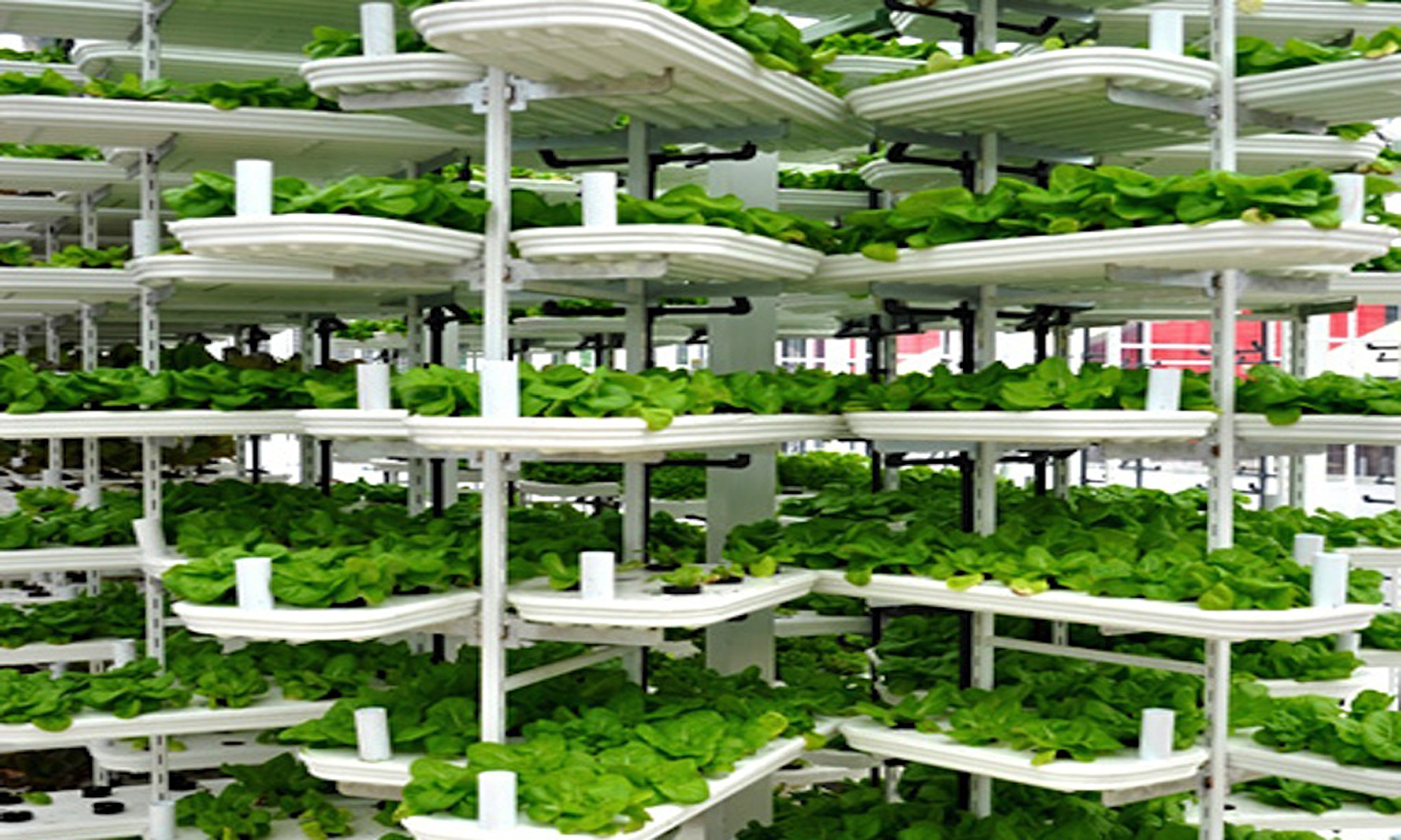 vertical-farming-014.jpg