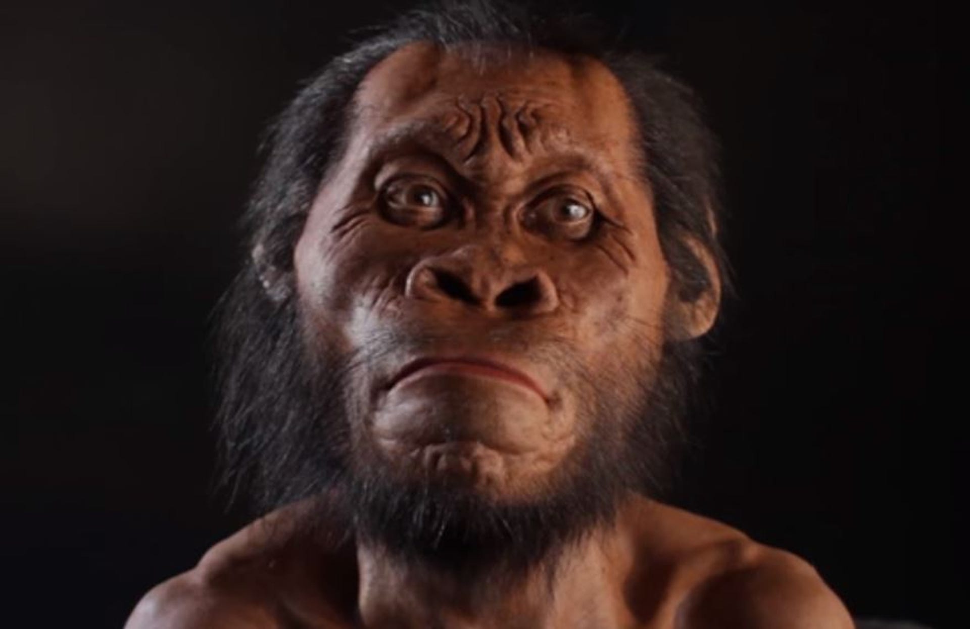 naledi.jpg