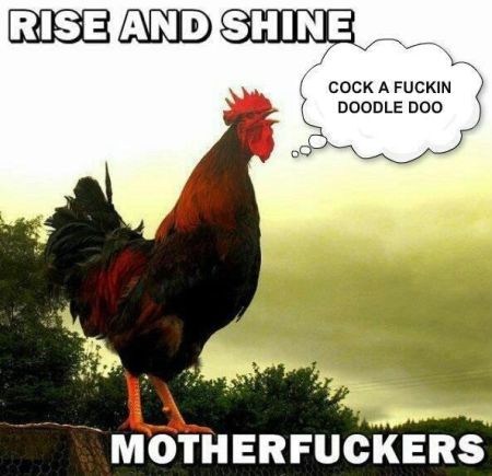 10-rise-and-shine-rooster-funny.jpg