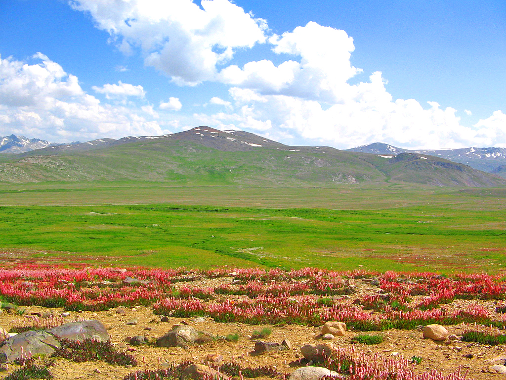 Deosai_Plateau_2.jpg