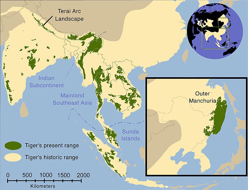 800px-Tiger_map.jpg