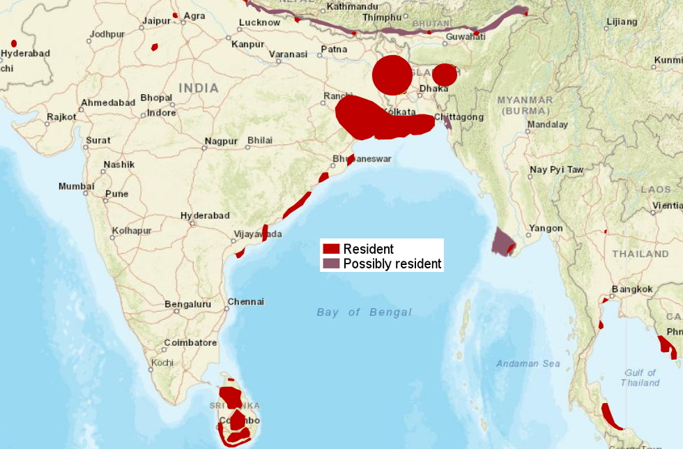 FishingCat_distribution.jpg