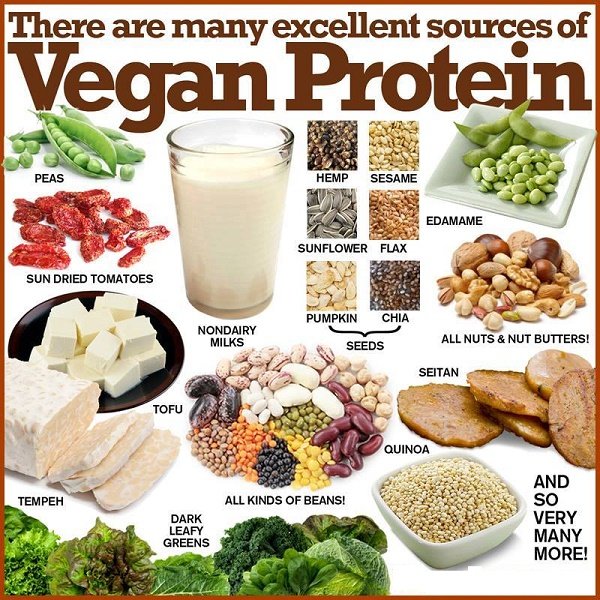 Vegan-protein-foods.jpg