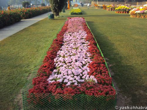 Bedsheet-of-Guldaudi-Terraced-Garden.jpg