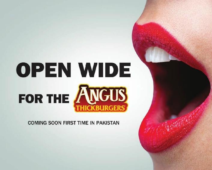 hardees-print-ad-3.jpg