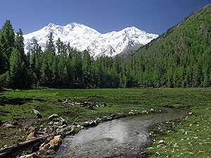 fantasy_fairy_meadows_05.jpg