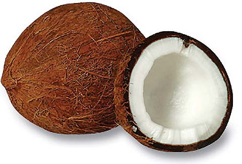 coconuts11.jpg