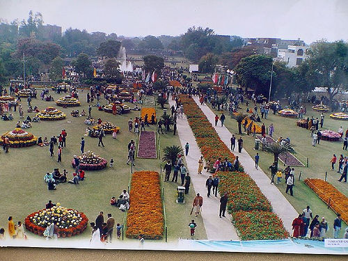 Rose-Garden-Chandigarh.jpg