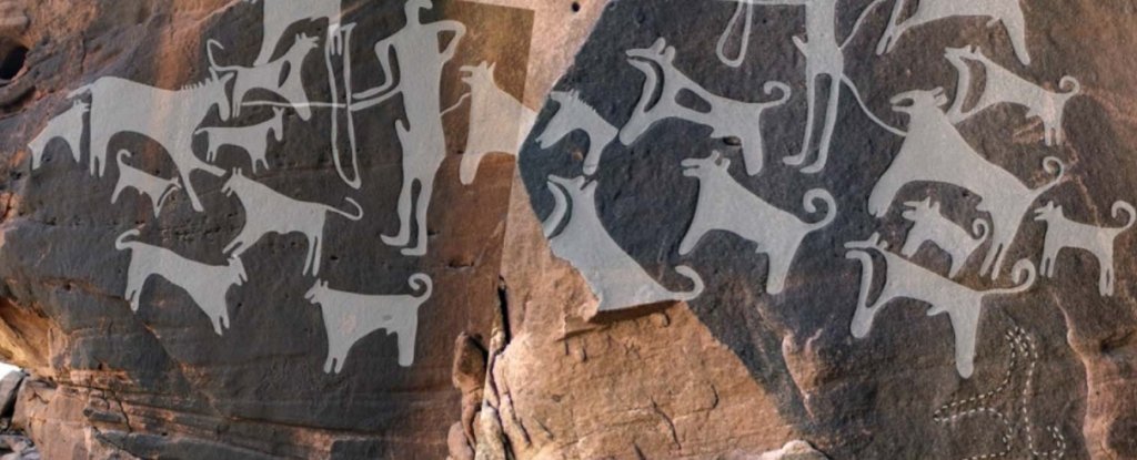 rock-art-dogs-leasher-header_1024.jpg