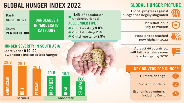 hunger_index_info.png