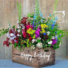 495aa5898c32e6e7948f7006aa74b889--birthday-greetings-birthday-cards.jpg