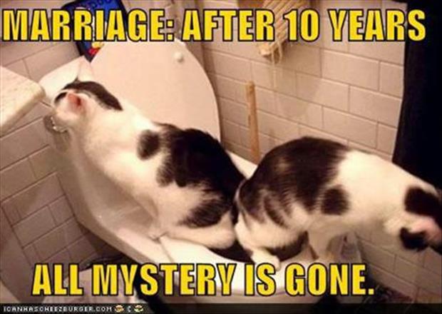 funny-marriage-pictures1.jpg