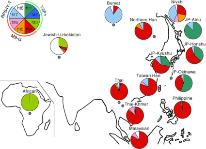 mtdna-yap-haplogroups1.png