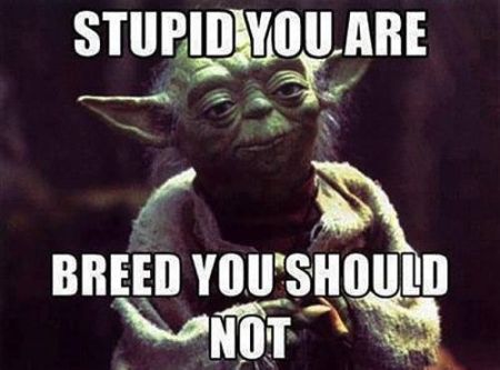 47-stupid-you-are-yoda-meme.jpg