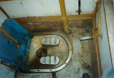 indian%2Btoilet.jpg