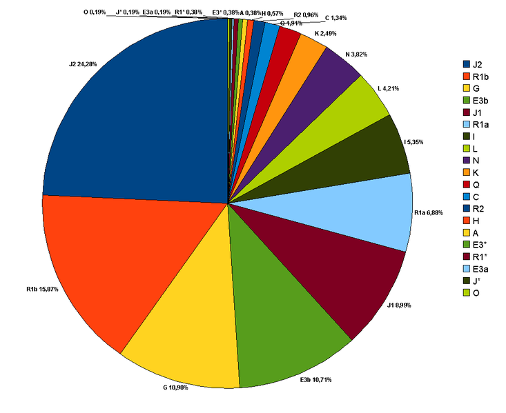 733px-Turkey_Y_chromosome%28in_20_haplogroups%29.png