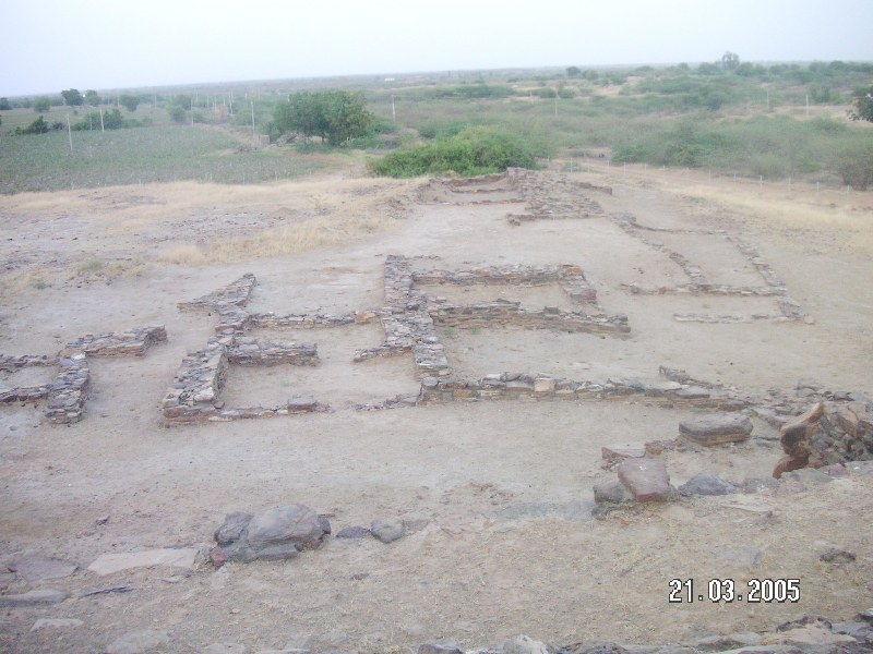 Rapar_taluka_20-22.3_317.jpg