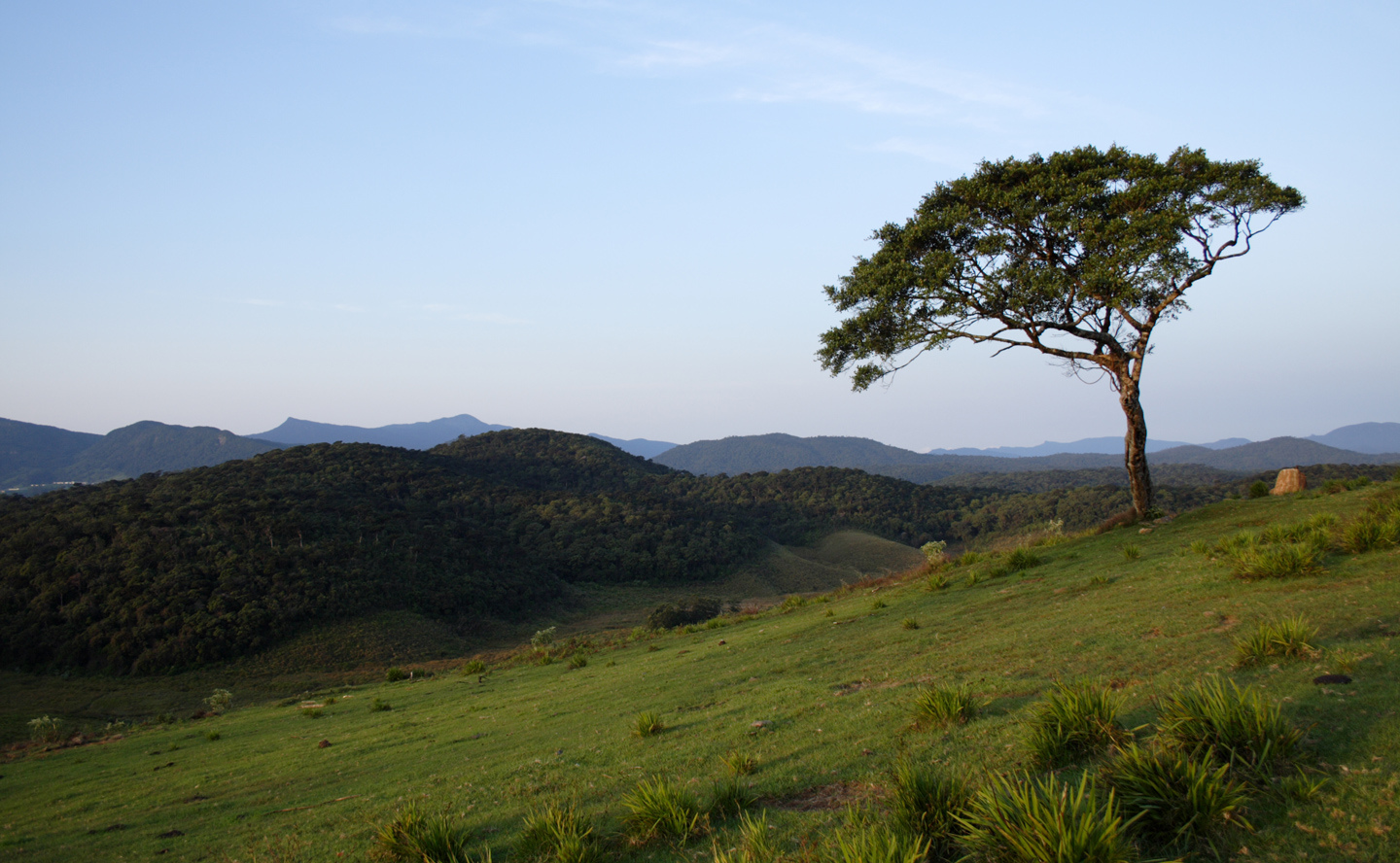 Horton+Plains+-+Sri+Lanka.jpg