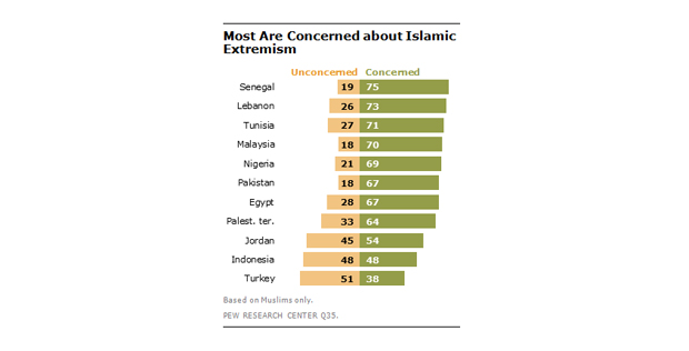 pew-survey-2.jpg