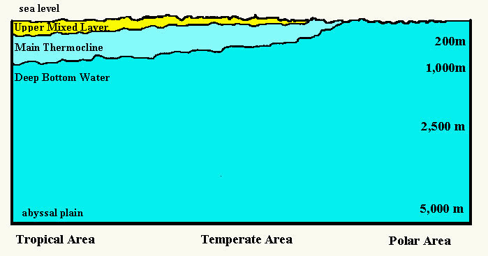 ThermoclineGraphic.gif