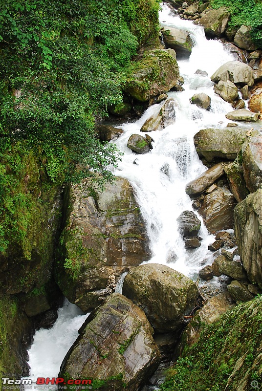 1542001d1471206777t-monsoon-drive-borong-south-sikkim-dsc_5890.jpg