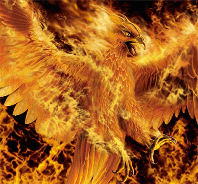 Phoenix-mythical-creatures-28604908-640-596.jpg