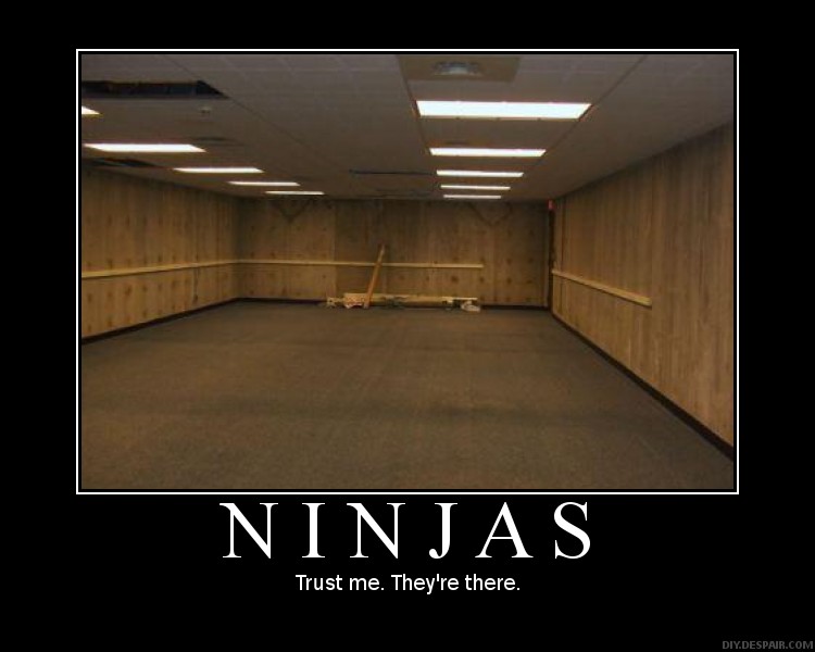 ninjas-demotivational-invisible.jpg