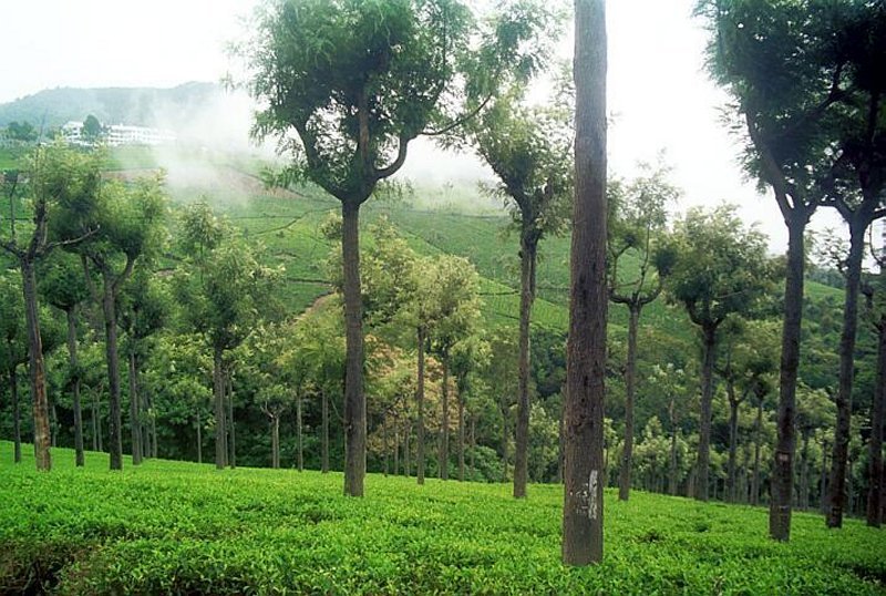 Ooty-View.jpg