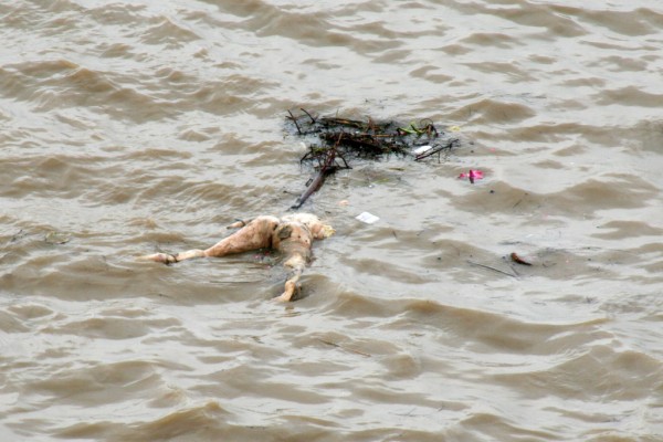 dead-body-ganges-varanasi-india-600x400.jpg