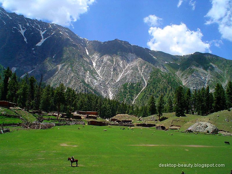 fairy+meadows.jpg