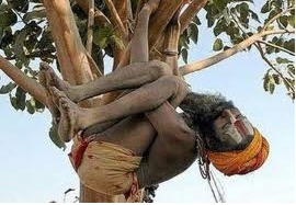 Indian%20man%20sleeping%20in%20a%20tree.jpg