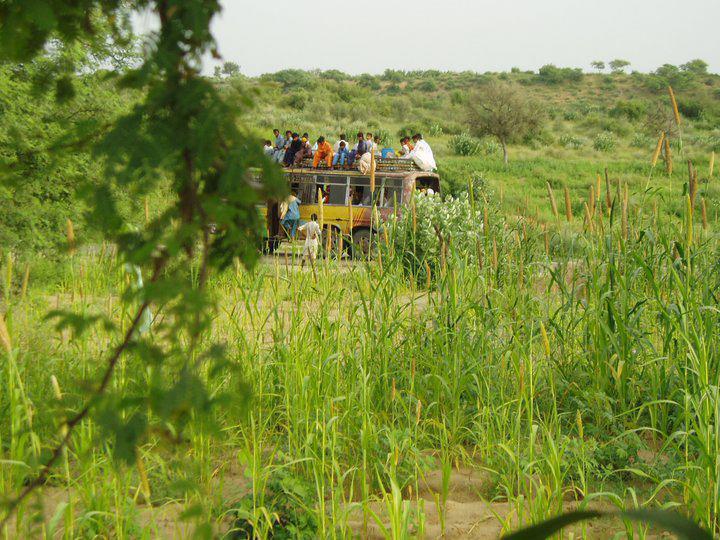 Green+Desert,+Tharparkar,+Sindh.jpg