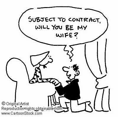 Funny-Marriage-Cartoons.jpg