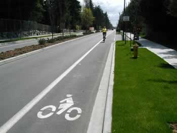 Bicycle_Lane_1.jpg