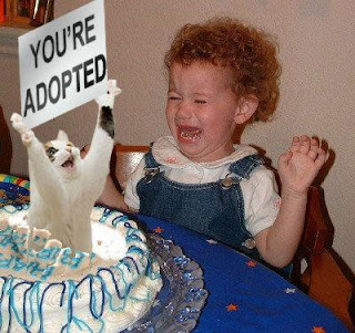 cat_cake.jpg