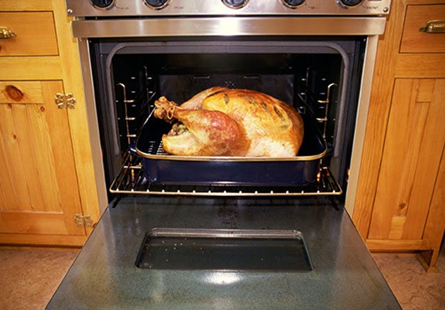 turkey-in-oven.jpg