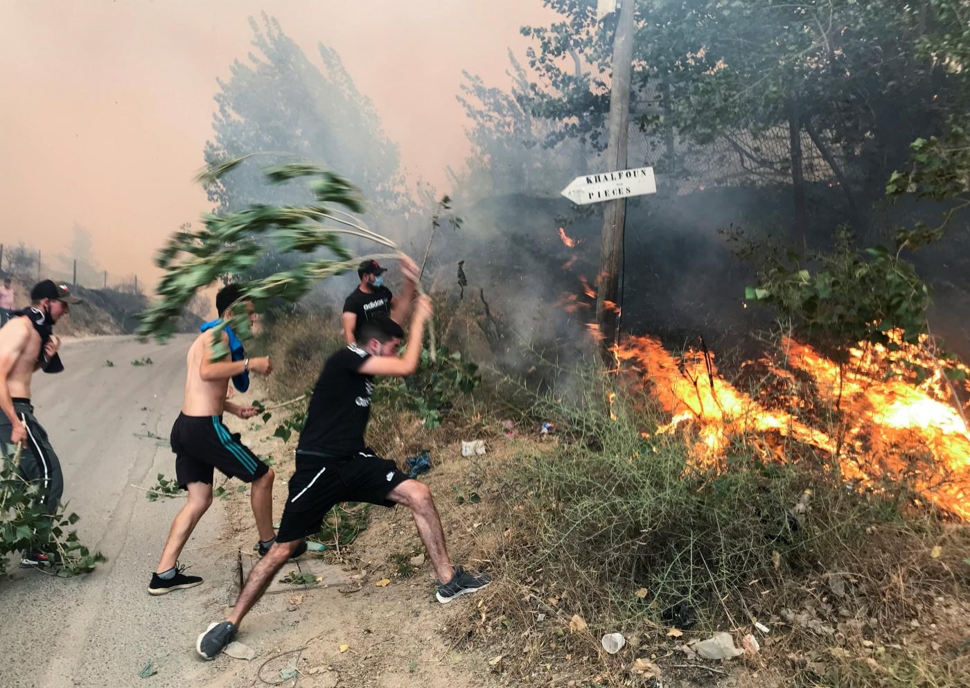 algeria-wildfires