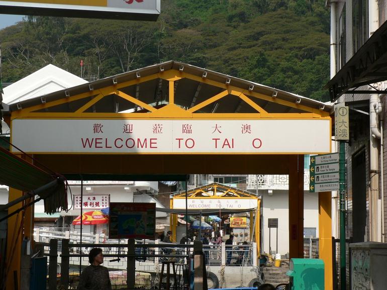 tai-o-village-lantau-photo_984628-770tall.jpg