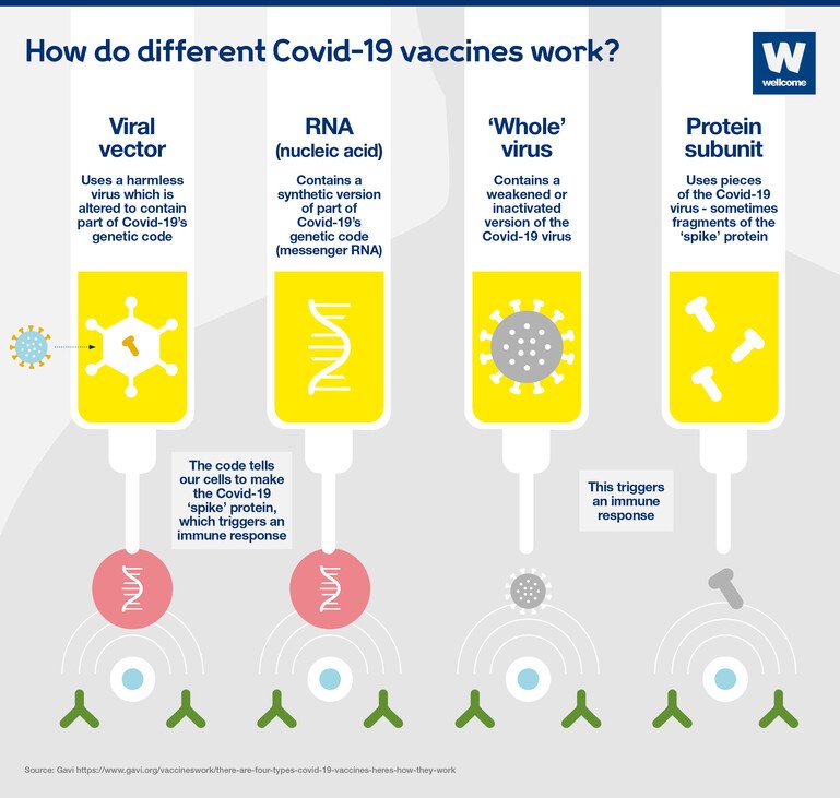 how-do-different-covid-19-vaccines-work.jpg