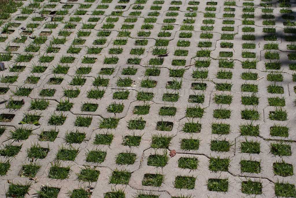 Grass-through-bricks-with-holes.jpg