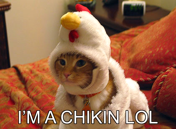 im-a-chikin-lol.jpg