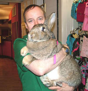 giant-rabbit.jpg