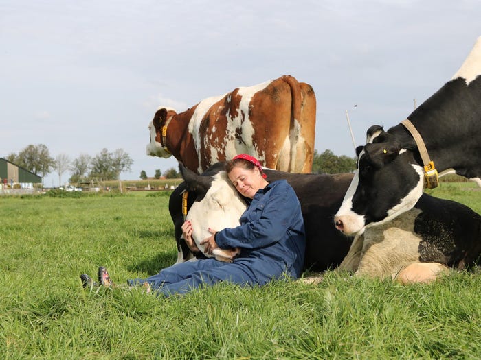 A woman hugs a cow at Farmsurvival in Spanbroek, The Netherlands.